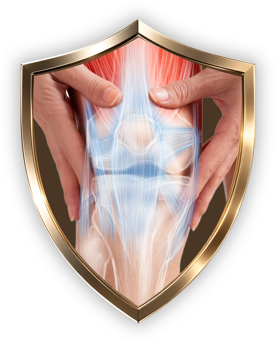Escudo dourado protegendo a articulação do joelho — ilustração do mecanismo de proteção muscular